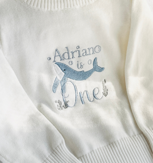Baby first birthday whale teddy safari balloon sweater jumper with embroidery of your choice