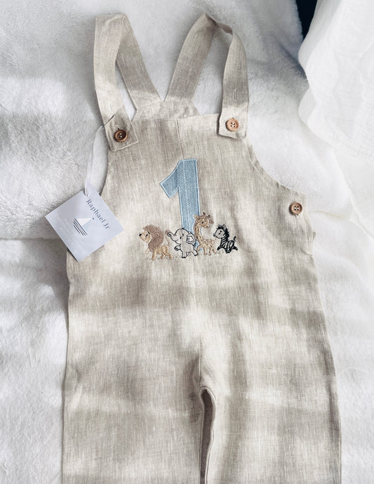 Boys Beige Linen Birthday overalls romper dungarees safari balloon fast car wild sea themes