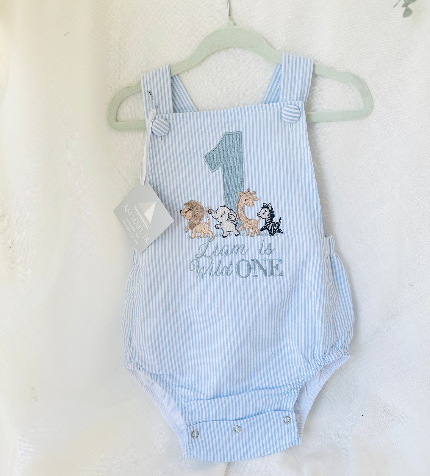Boys White Linen First Birthday overalls romper one silly goose onederful world oneder the sea teddy car balloons and more