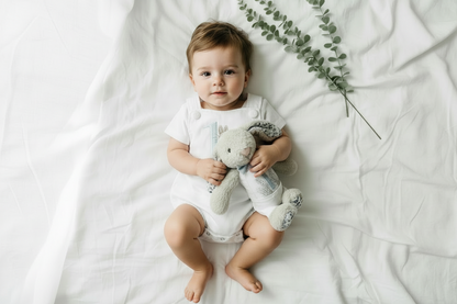 Boys Blue Seersucker teddy bear First Birthday romper