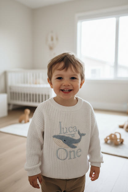 Baby first birthday whale teddy safari balloon sweater jumper with embroidery of your choice